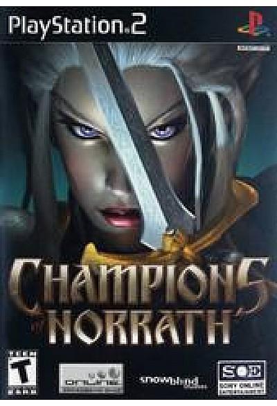 Champions Of Norrath/PS2