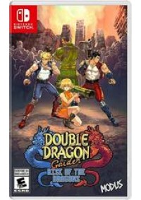 Double Dragon Gaiden Rise of The Dragons/Switch