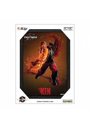 Cadre Lenticulaire 3D Plax Street Fighter 6 Par Pixel Frames - Ken 25 x 30 CM